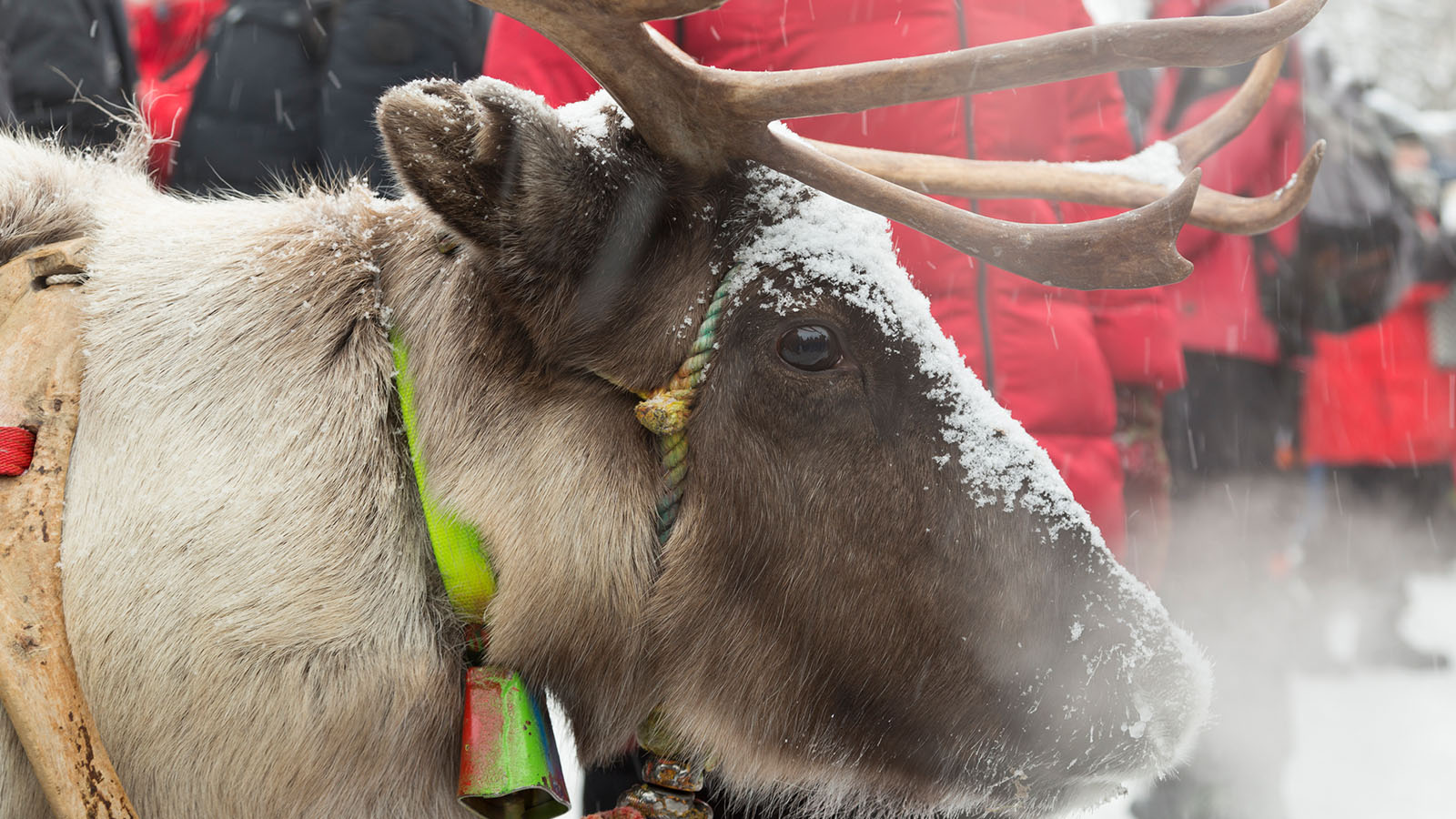 Jokkmokk & Ishotellet 2027